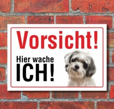 Vorsicht "Hier wache ich", Bolonka, Hund,...