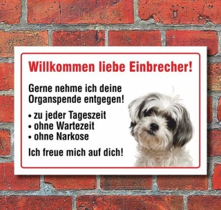 Vorsicht "Willkommen", Bolonka, Hund, Schild, Hinweis, 3 mm Alu-Verbund Motiv 2 300 x 200 mm