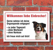 Vorsicht "Willkommen", Border Collie, Hund,...