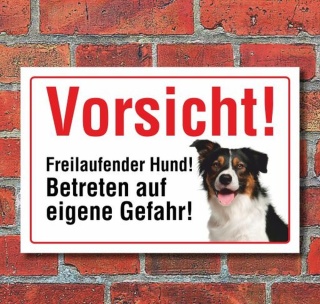 Vorsicht "Freilaufend", Border Collie, Hund, Schild, Hinweis, 3 mm Alu-Verbund Motiv 3 300 x 200 mm