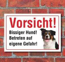 Vorsicht "Bissig", Border Collie, Hund, Schild,...