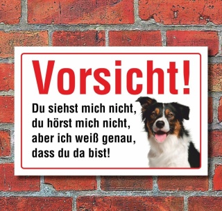 Vorsicht "Siehst mich nicht", Border Collie, Hund, Schild, Hinweis, 3 mm Alu-Verbund Motiv 6 300 x 200 mm