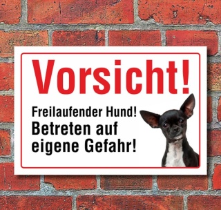 Vorsicht "Freilaufend", Chihuahua, Hund, Schild, Hinweis, 3 mm Alu-Verbund Motiv 3 300 x 200 mm