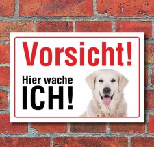 Vorsicht "Hier wache ich", Golden Retriever,...