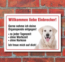 Vorsicht "Willkommen", Golden Retriever, Hund,...