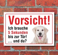 Vorsicht "5 Sekunden", Golden Retriever, Hund,...