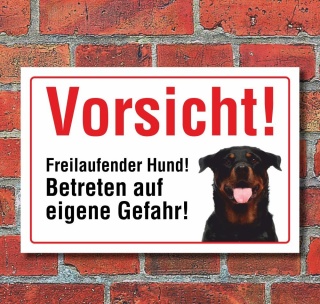 Vorsicht "Freilaufend", Rottweiler, Hund, Schild,  3 mm Alu-Verbund Motiv 3 300 x 200 mm