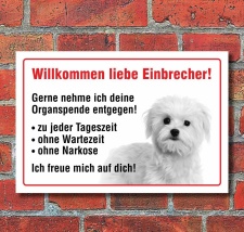 Vorsicht "Willkommen", Malteser, Hund, Schild,...