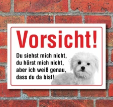 Vorsicht "Siehst mich nicht", Malteser, Hund,...