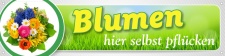 Werbebanner, Plane "Blumen hier selbst...