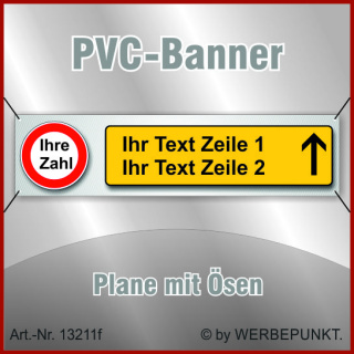 Geburtstag, Banner, Plane, Geschenk, Überraschung 400x100 cm mit Ösen