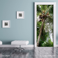 Türtapete "Palme, Kokosnuss", Türposter, selbstklebend 2050 x 880 mm