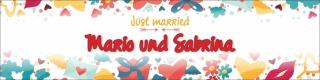 Banner Plane "Hochzeit 4" Geschenk Feier Just married Hochzeitsdeko mit Ösen