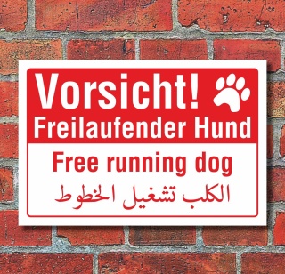 Schild Vorsicht freilaufender Hund englisch arabisch wetterfest 3 mm Alu-Verbund 300 x 200 mm