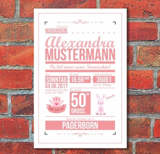 Schild Geburt Taufe Geburtstag Geschenk Wandtafel Mädchen 3 mm Alu-Verbund