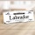 Vintage Shabby Holzschild "Labrador " – Dekoschild aus Holz 30x10 cm