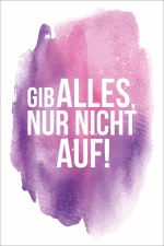 Vintage Shabby Holzschild Gib alles nur nicht auf...