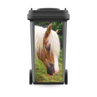 Mülltonnenaufkleber Mülltonne Mülleimer Abfalltonne Pferd Hengst- 720 x 320 mm