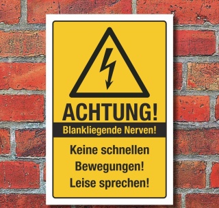 Schild Blankliegende Nerven Leise sprechen Spaßschild Geschenk 3 mm Alu-Verbund 300 x 200 mm