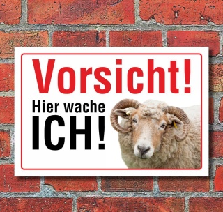 Schild Vorsicht hier wache ich Schaf Hinweisschild Geschenk 3 mm Alu-Verbund 300 x 200 mm