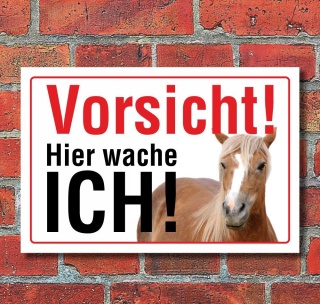Schild Vorsicht hier wache ich Pferd Hinweisschild Geschenk 3 mm Alu-Verbund