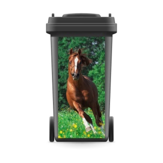 Mülltonnenaufkleber Mülltonne Mülleimer Abfalltonne Sticker Pferd Wiese Natur - 720 x 320 mm