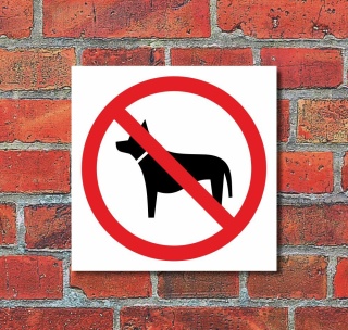 Schild Hunde verboten Türschild Hinweisschild 400 x 400 mm
