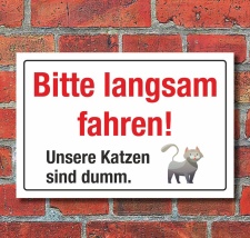 Schild Hinweisschild Bitte Langsam fahren Katze ist dumm...
