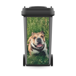 Mülltonnenaufkleber Mülltonne Mülleimer Abfalltonne Hund Bulldogge Wiese