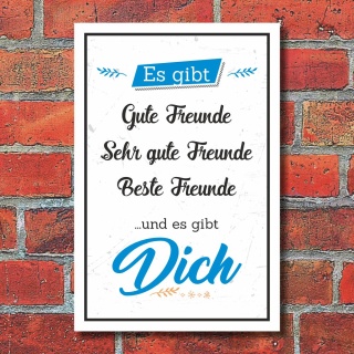 Schild Es gibt gute Freunde und es gibt DICH Geschenk Geburtstag 3mm Alu-Verbund
