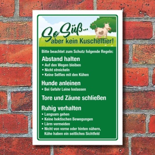 Schild Kühe Kuh Weidevieh Landwirtschaft Kein Kuscheltier Regeln Alu-Verbund