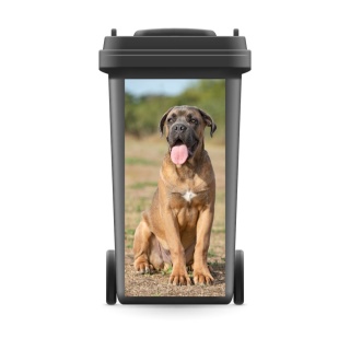 Mülltonnenaufkleber Mülltonne Mülleimer Abfalltonne Sticker Mastiff Hund Tier- 720 x 320 mm