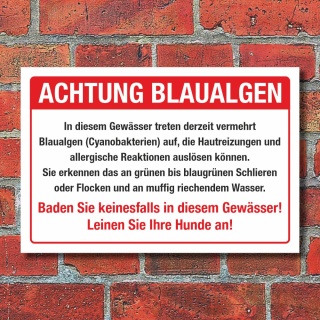 Schild Achtung Blaualgen Baden verboten Hunde anleinen 3 mm Alu-Verbund