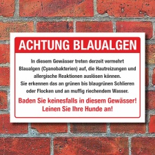 Schild Achtung Blaualgen Baden verboten Hunde anleinen 3 mm Alu-Verbund 300 x 200 mm