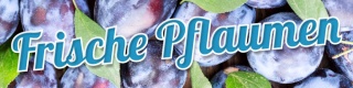 PVC Werbebanner Banner Plane Frische Pflaumen Zwetschgen Obst Ösen