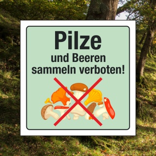 Schild Pilze Beeren sammeln verboten Hinweisschild 3 mm Alu-Verbund