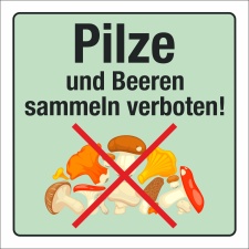 Schild Pilze Beeren sammeln verboten Hinweisschild 3 mm...