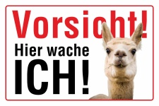 Schild Vorsicht Alpaka Grundstück Hier wache ich 3...
