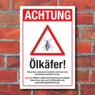 Schild Achtung Ölkäfer Vorsicht giftig mit Erklärtext Hinweisschild 3 mm Alu-Verbund 300 x 200 mm