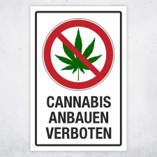 Schild Cannabis anbauen verboten Hinweisschild 3 mm...