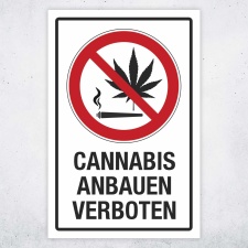 Schild Cannabis anbauen verboten Hinweisschild 3 mm...