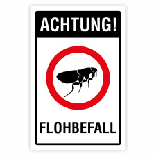 Achtung! Flohbefall – Hochwertiges...