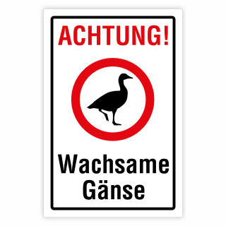 Achtung! Wachsame Gänse – Hochwertiges Aluverbund-Schild für den Außenbereich