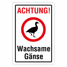 Achtung! Wachsame Gänse – Hochwertiges...