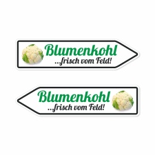 Pfeilschild "Blumenkohl …frisch vom...